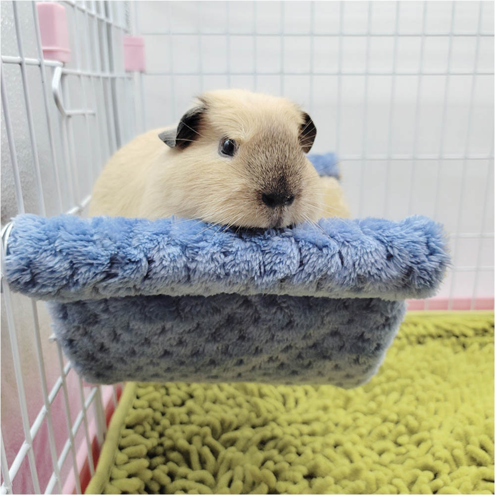 Double Layer ฤดูหนาว WARM Rat  - Fleece Sleep Bag บทวิจารณ์และราคา
